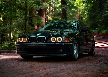 Black BMW in Forest Setting