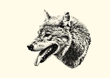 Wolf Portrait in Sepia Tones