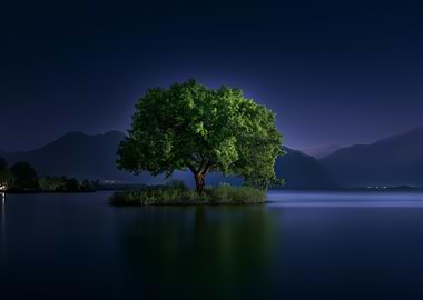 Tree on Island at Night