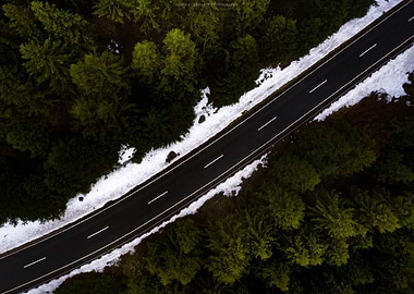 Aerial view of road through forest