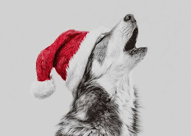 Wolf Howling with Santa Hat