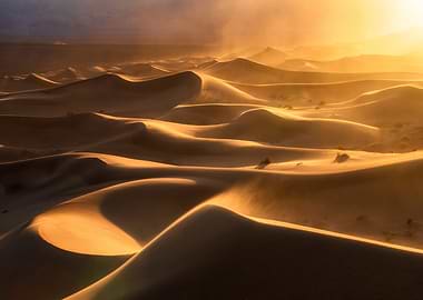Golden Sand Dunes at Sunset