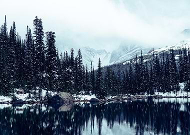 Winter Lake Reflection