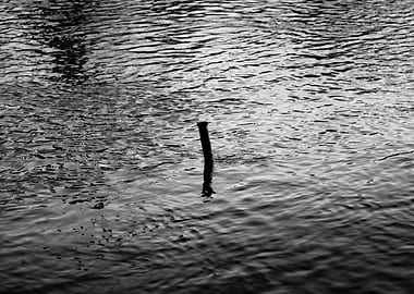 Monochrome Water and Post