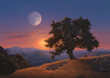Sunset Landscape with Tree and Moon