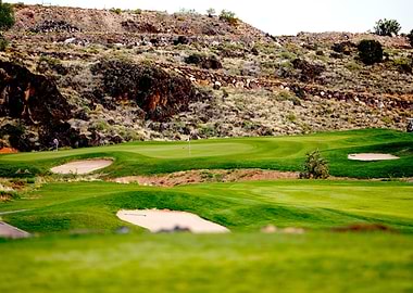 Lush Green Golf Course Landscape
