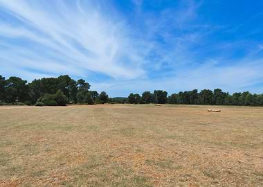 Dry Field Under a Blue Sky