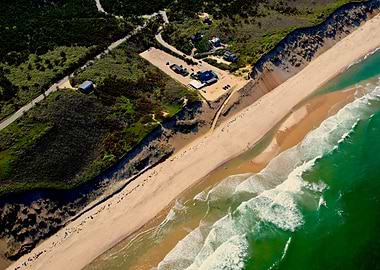The Wellfleet Beachcomber