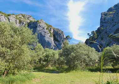 Mountain Landscape with Trees and Sky