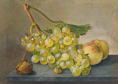 Still Life with Bunch of Grapes, Walnut and Peaches