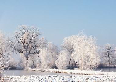 Winter landscape with snow-covered trees