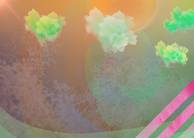 Not So Tropical (TL)