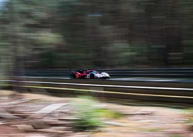 Porsche: Racing around the forest
