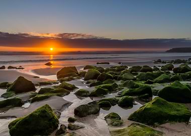 Sunset over mossy rocks on beach
