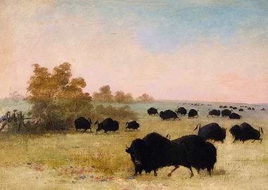 Buffalo Hunt Painting