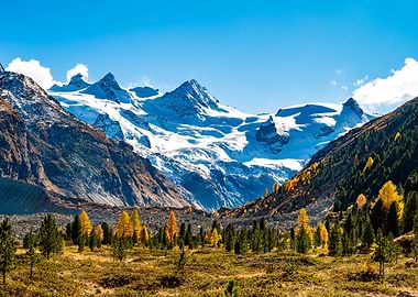 All the beauty of autumn