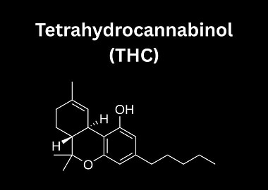 Tetrahydrocannabinol (THC) Chemical Structure