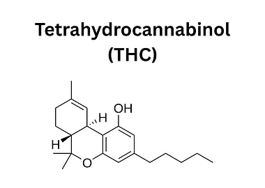 Tetrahydrocannabinol (THC) Chemical Structure