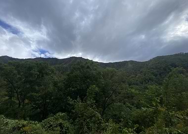 Overcast Mountain Forest Landscape