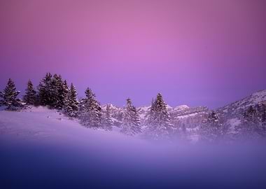 Winter landscape with snow-covered trees