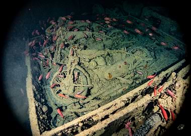 Underwater Motorcycle Wreck with Fish