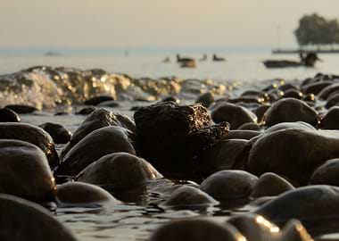 Lake Constance at Sunset