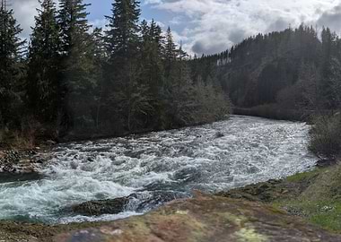River Through Forest Landscape
