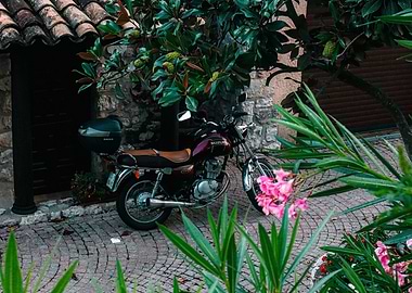 Suzuki Motorcycle Parked Near Stone Building