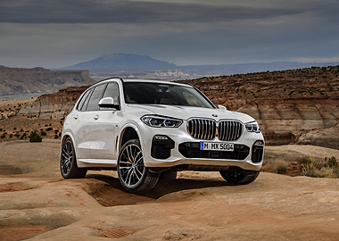 White BMW X5 in Desert Landscape