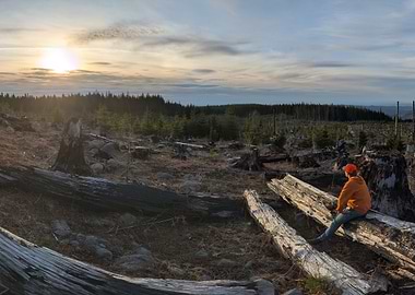 Man Sitting on Logs at Sunset