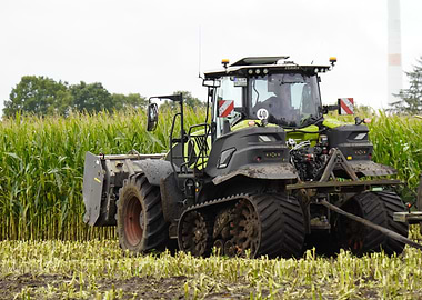 Claas Lexion Tractor in Cornfield