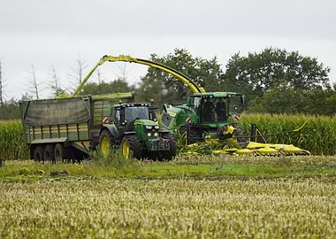 Harvesting Corn with Tractor and Forage Harvester