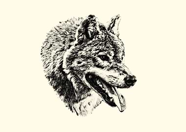 Wolf Portrait Sketch