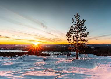Winter Sunset Landscape with Pine Tree