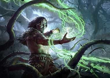 Path of Exile 2 - Druid