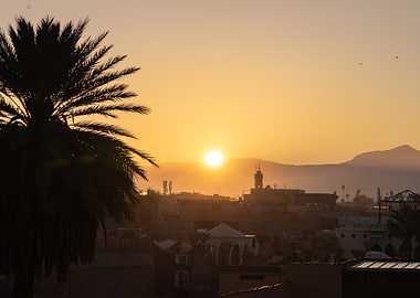 Golden Sunset over Cityscape with Palm