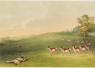 Native American Hunter with Pronghorn Antelope