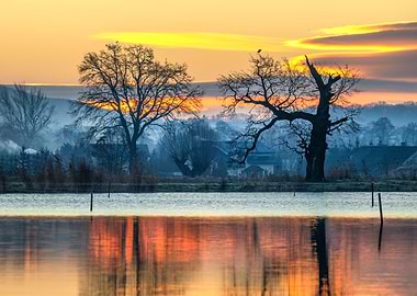 Sunrise over flooded landscape with trees