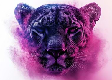 Leopard Portrait with Purple Smoke