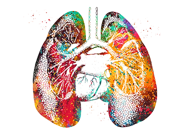 Colorful Watercolor Lungs Anatomy Art