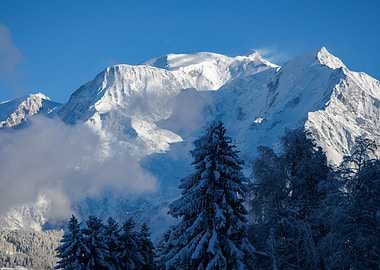 Snowy Mountain Landscape with Pine Trees