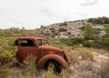 Rusty Car in Overgrown Field