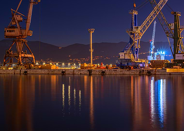 Night Harbor with Cranes Reflection