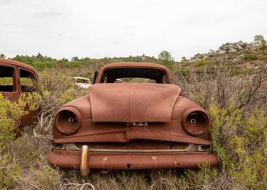 Rusty Car Graveyard