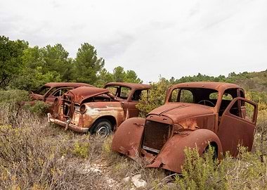 Abandoned Rusty Vintage Cars in Nature