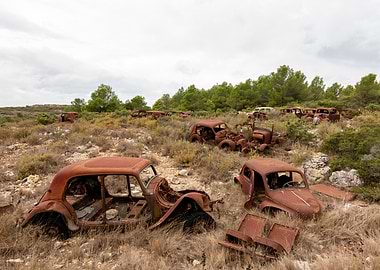 Rusty Car Graveyard