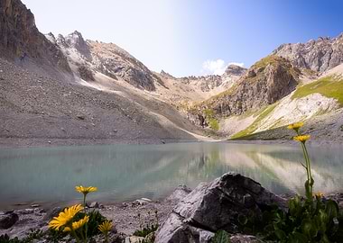 Mountain Lake with Yellow Flowers