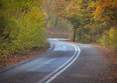 Winding Road Through Autumn Forest