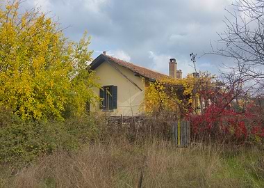 Autumn House with Colorful Foliage