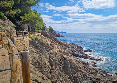 Coastal Path with Rocky Shoreline